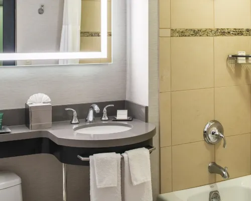 Hilton Portland Downtown Rooms Photos