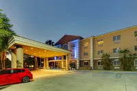 Holiday Inn Express WEST PALM BEACH METROCENTRE by IHG Hotels in West Palm Beach