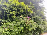 Yihuan Mountain House Featured Homestay