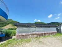 Chuncheon Gangchon Temple Pension