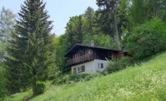 a house with a wooden roof is nestled in a forest , surrounded by tall trees and greenery at Chalet Ninette