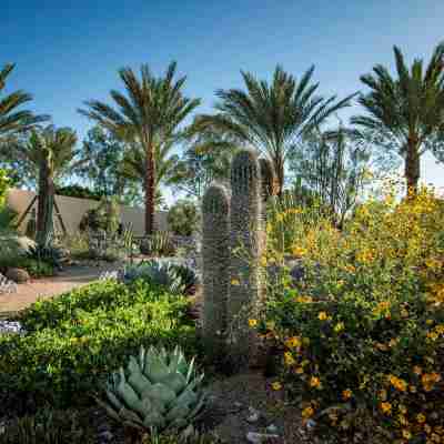 The Scottsdale Resort and Spa, Curio Collection by Hilton Hotel Exterior