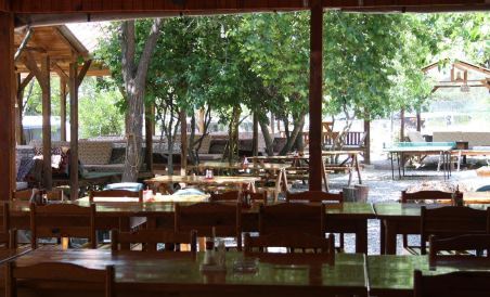 Saban Pansion Treehouses - Housity