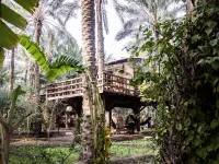 Hotel Diar Abou Habibi Hotels in 