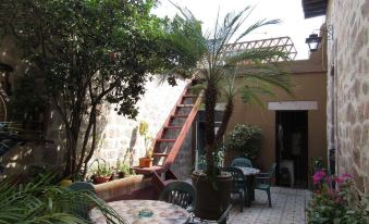 The Only Backpackers Morelia - Housity