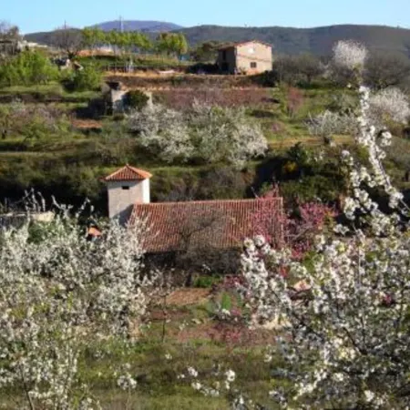 La Posada del Casar