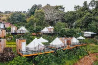 ม่อนดาวเรือง ม่อนแจ่ม