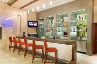 Hilton Garden Inn Sanliurfa - bar