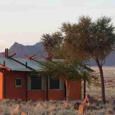 Desert Camp Hotel Exterior