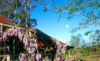 Cedar Creek Cottages