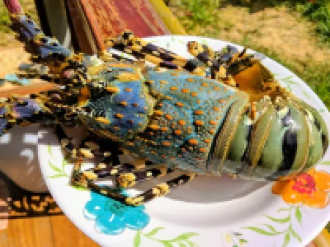 พยามาศ โรงแรมในเกาะพยาม