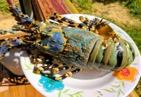 Phayamas Private Beach Resort and Island Brew - Adults Only Hotels in Ranong