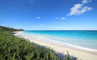 Gumbo Limbo 3 Bedroom Home
