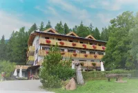 Hotel Ganzaie Hotel in zona Rifugio Cima D'Asta Ottone Brentari (C.A.I.)