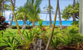 Oceanfront Remodeled Studio Condo