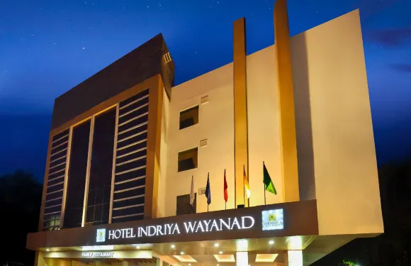 瓦亞納德因德里亞酒店