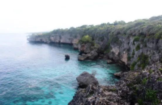 Balatoa