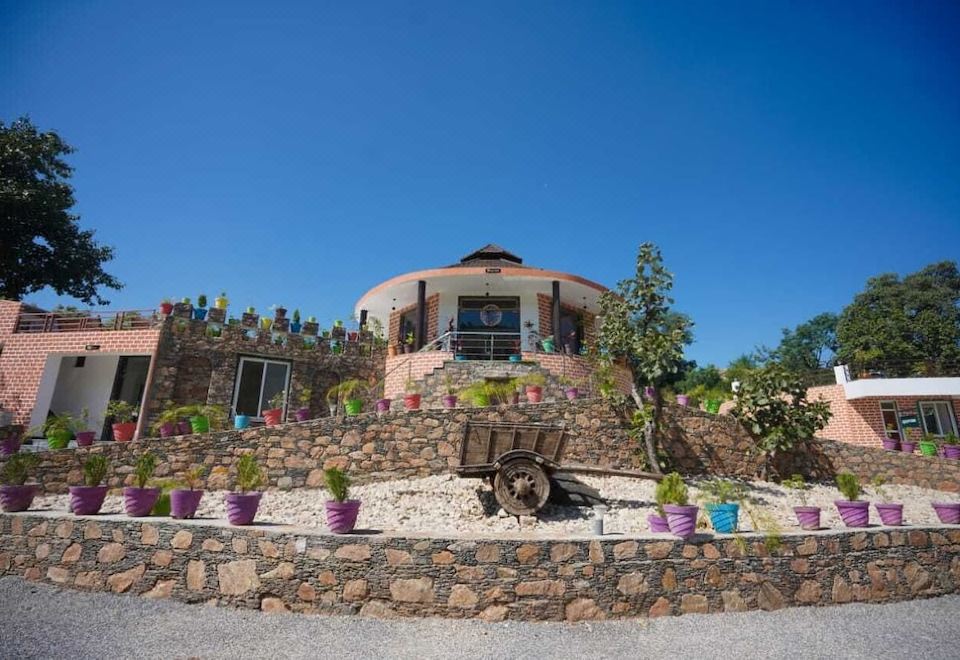 Jungle Journey - Housity