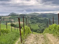 Hillside Villa with Swimming Pool and Jacuzzi - Frasassi Caves - Villas