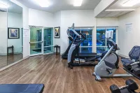 Holiday Inn Express & Suites HOUSTON SPACE CTR - CLEAR LAKE by IHG - Gym