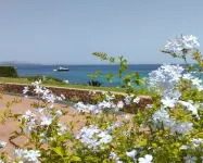 Seaside Apartment Baja Sardinia - Rent from July 25, 2026, to August 15, 2026