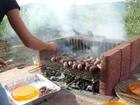 Casa Girasole Agriturismo le Selvole - Tuscany