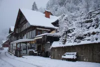 Apartment house Jager فنادق في Bohinjska Bistrica