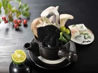 Yatsugawakan Các khách sạn ở Chichibu