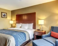 Comfort Inn & Suites Grafton-Cedarburg Hotels in Cedarburg