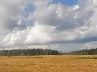 Villa vuorenpää Hôtels à : Tammela