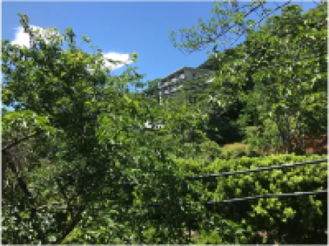 Green-Pal Yugawara Hotels in Ashigarashimo District