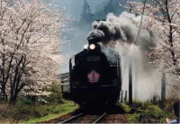 Tomoe Inn - 3 Sao