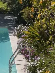 Les Petites Terrasses - Pool