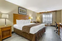 Best Western Danbury/Bethel Hotels in Danbury