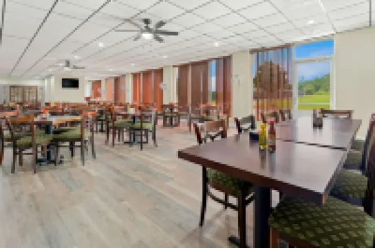 퀄리티 인 아메리쿠스