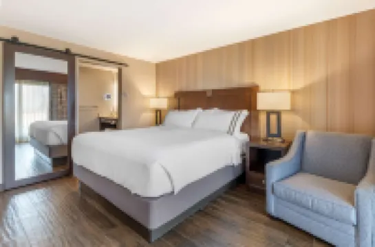 大沼澤城貝斯特韋斯特優質套房酒店 酒店