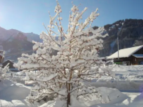 Aegertenstrasse 10 Hotels in Lenk