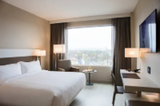 聖何塞市中心萬豪AC酒店 聖何塞酒店