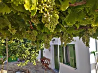 Laurel LK Houses in Kritinia Rhodes Hôtels à : Chalki