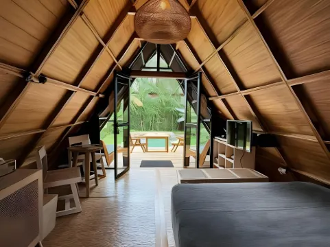 Villa Verde the garden