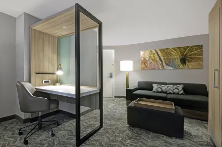 SpringHill Suites Palm Desert