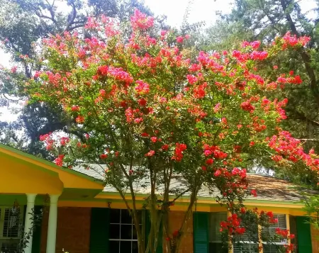 Studio ESCAPE Cozy CLOSE-IN Kitchen Pool Work-Space