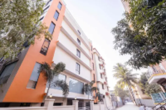 Treebo Iris Executive