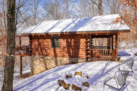Bear Hugs cabin nestled in the woods.