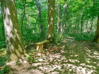 Vireo Cabin at Driftless Creek