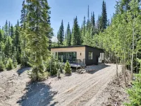 Cozy Mountain Modern Cabin Pet Friendly!