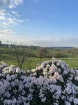 Urlaub im Naturpark Siebengebirge - Bad Honnef / Aegidienberg