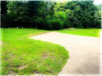 102 year old historic home in quiet park district comfy and quiet