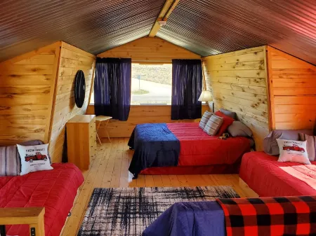 Silvery Lupine Cabin 5 - 2 bedrooms in Creede, Colorado