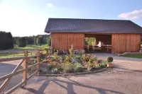 Vacation in the Bavarian Forest paradise Hotels in Straubing-Bogen